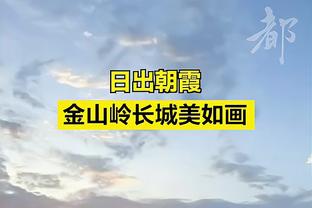 韩国足协主席谈克林斯曼：在指挥、管理、态度等方面都未达预期